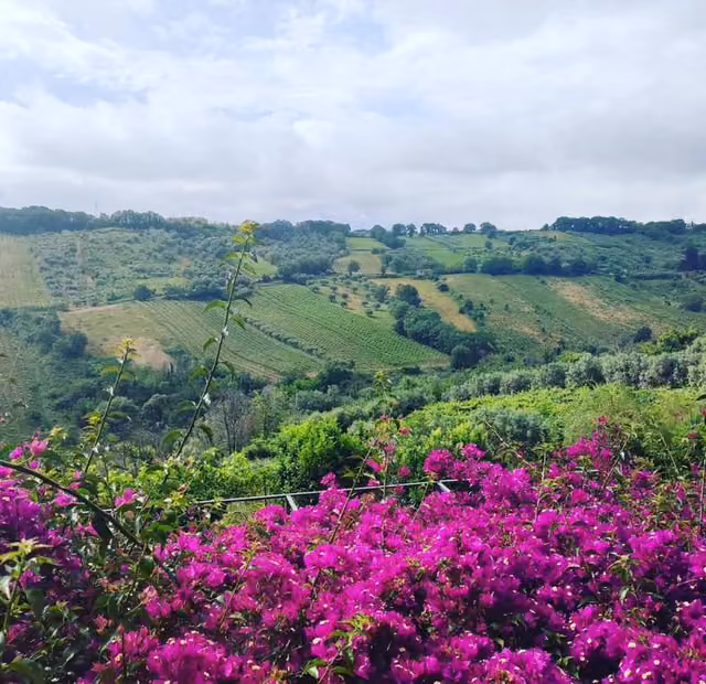 Veduta panoramica sulle colline del Vastese