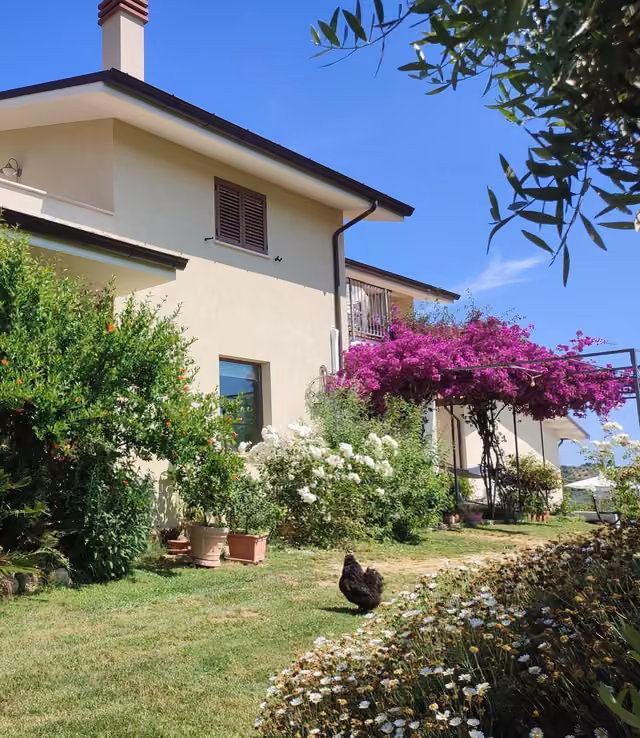La casa con il cortile fiorito